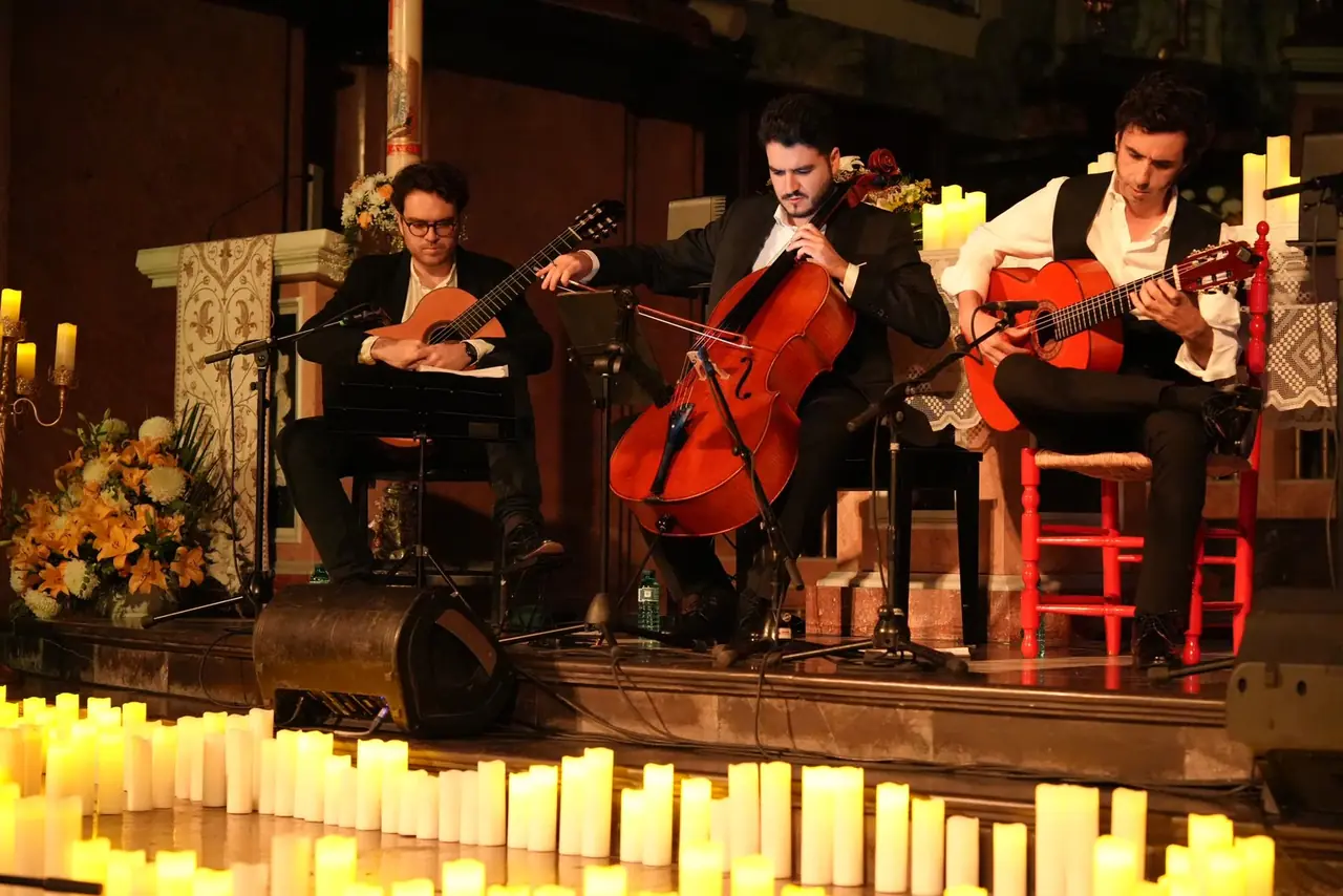 Concert performance 4